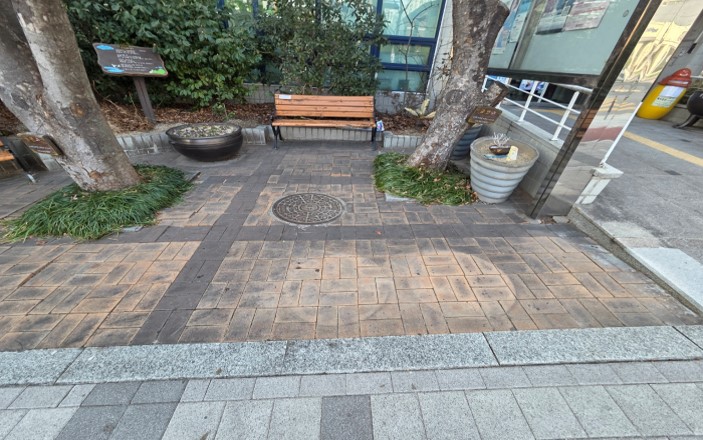 경계석 제거 및 뿌리 제거 전