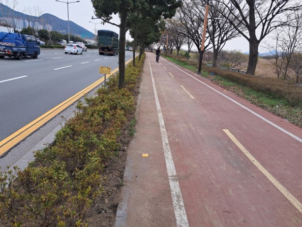 상록철쭉 식재 후1