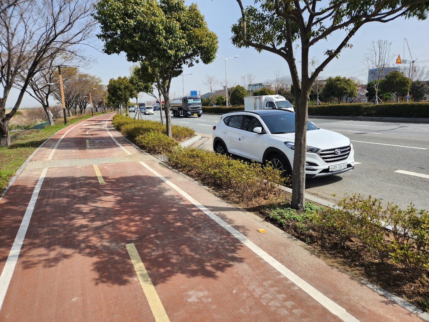 상록철쭉 식재 후2