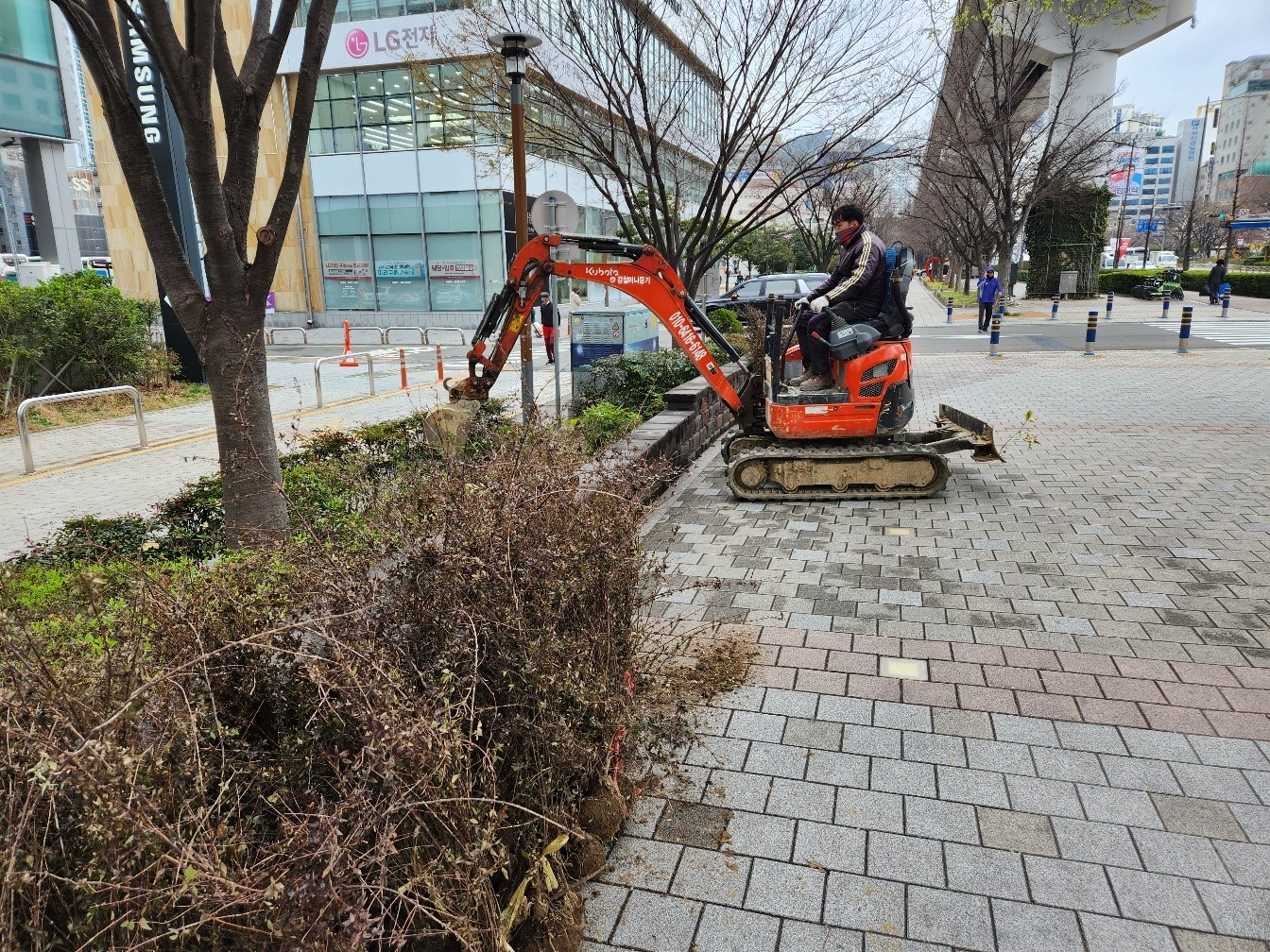 삼성대리점 앞 식재면 고르기