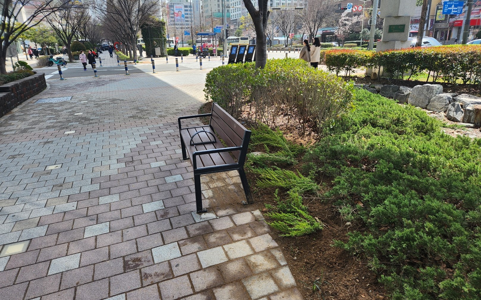 눈향 맥문동 식재 후4