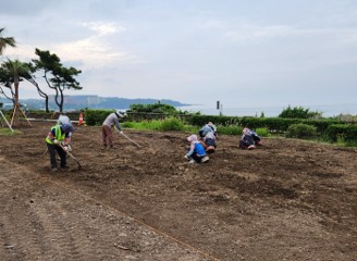 3. 잔디식재_식재 전 제석, 면고르기2