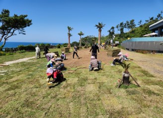4. 잔디식재3