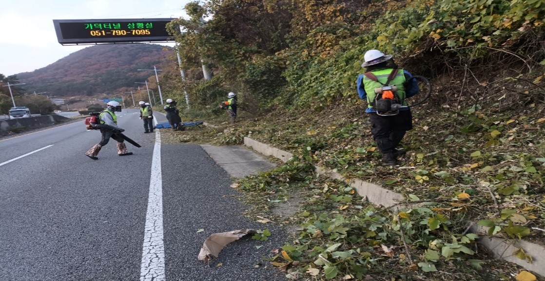 가덕터널진입도로 일원 천성ic 일원 예초 중