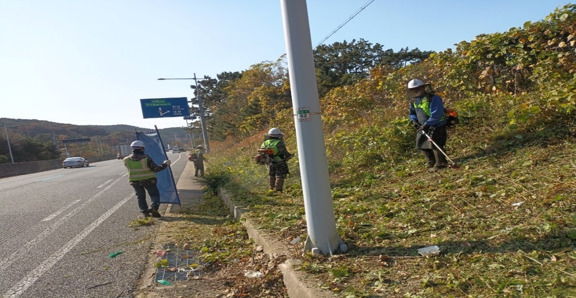 가덕터널진입도로 일원 천성ic 일원 예초 중2