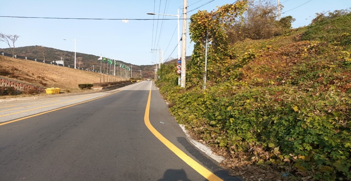 가덕터널진입도로 일원 천성ic 일원 예초 전3