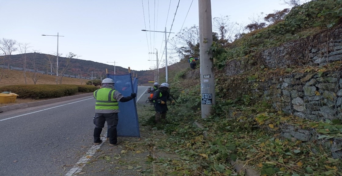 가덕터널진입도로 일원 천성ic 일원 예초 중3