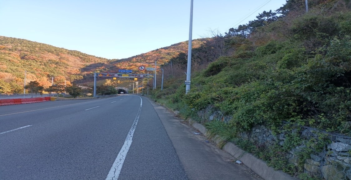 가덕터널진입도로 일원 천성ic 일원 예초 전4