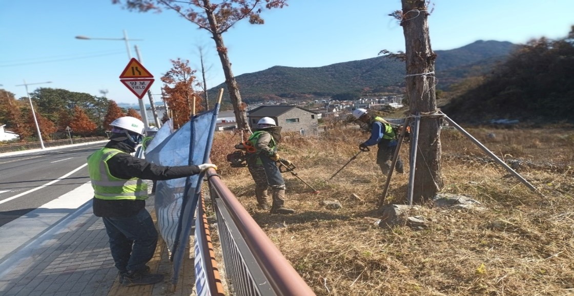 가덕터널진입도로 일원 천성ic 일원 예초 중5