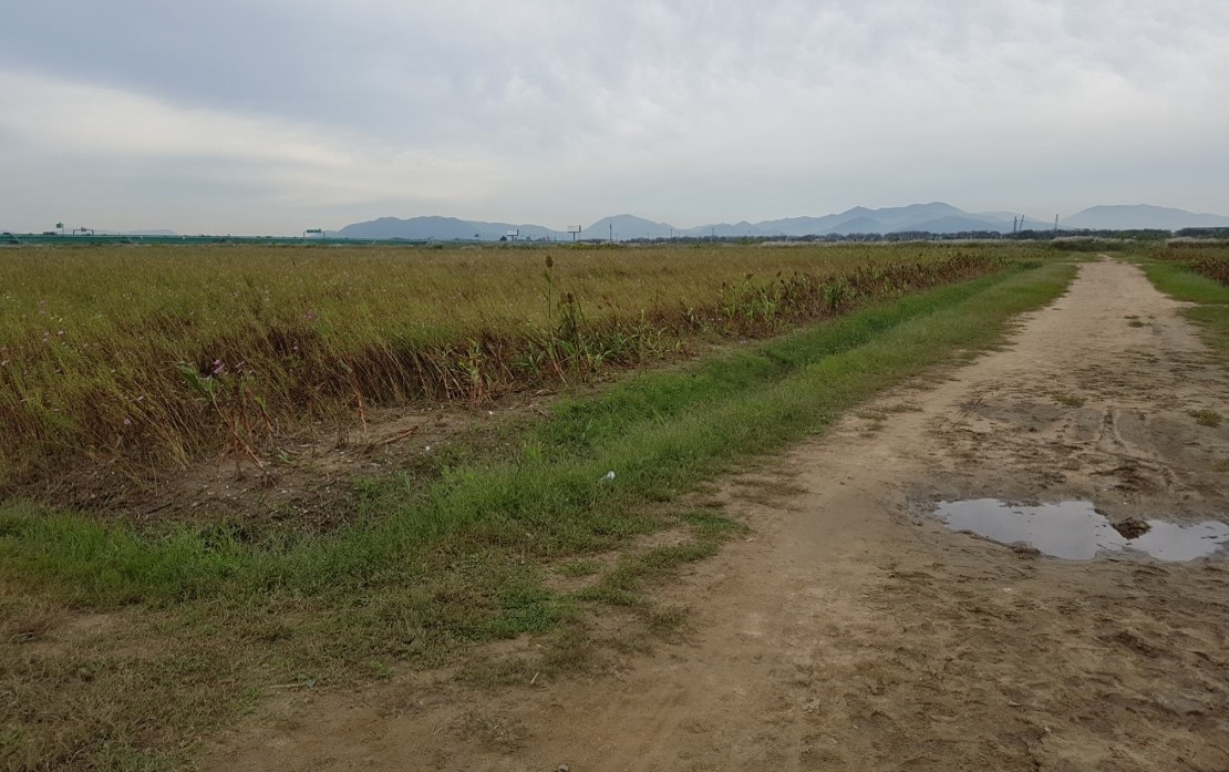 1. 삼락지구 공사 전