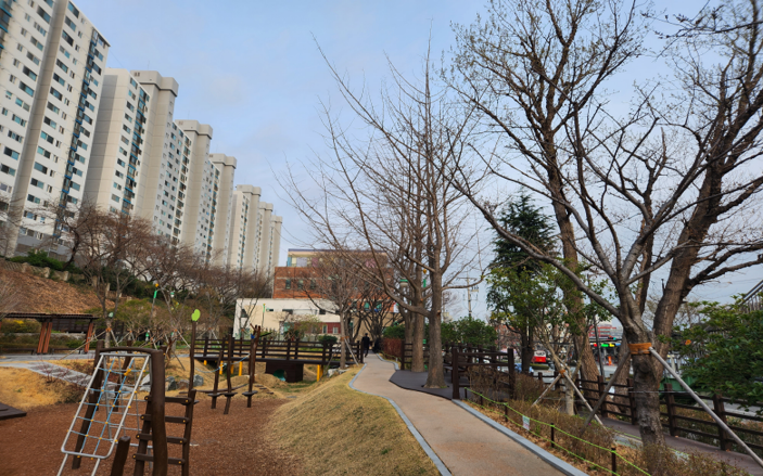 구덕공원 은행나무 작업(전)1