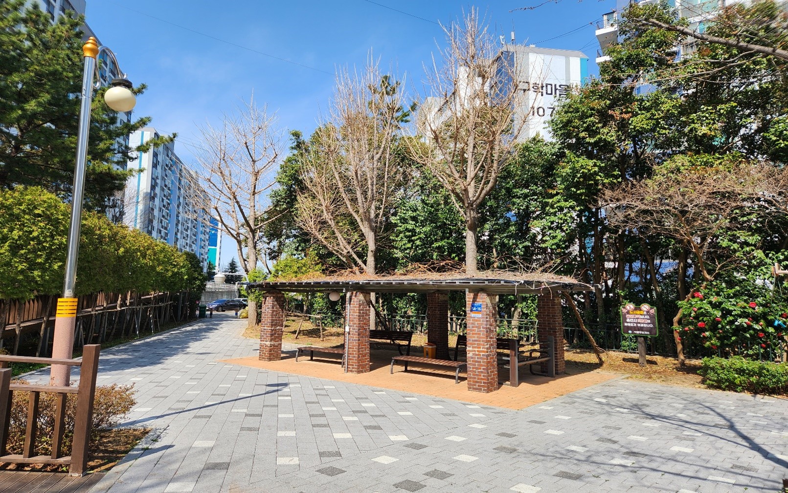 구학공원 은행나무 작업(전)