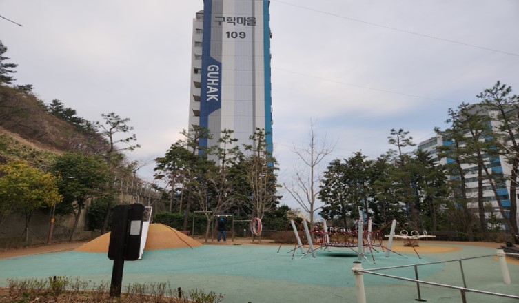 구학공원 해송 작업(후)