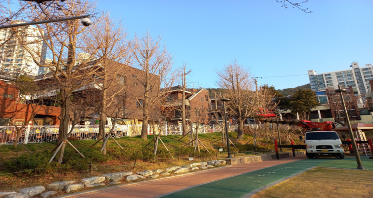 양지1공원 은행나무 작업(전)