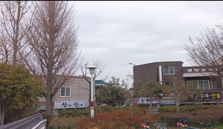 고동바위공원 은행나무 작업(전)