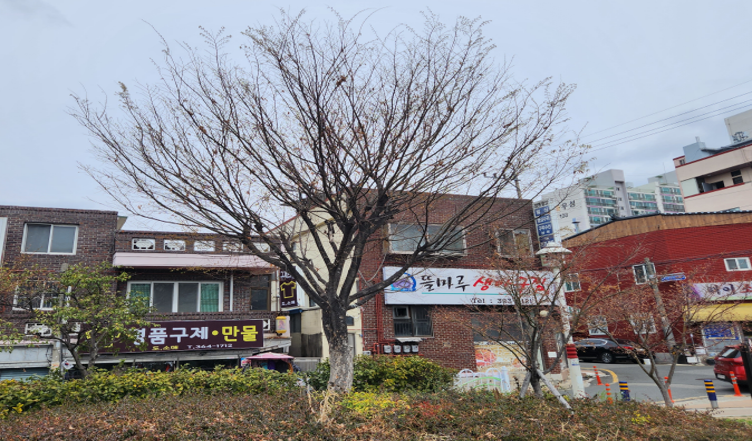 고동바위공원 느티나무 작업(전)