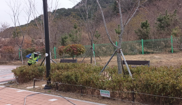 모라틔움공원 관수