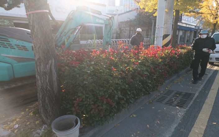 삼락동 416-2 작업 전