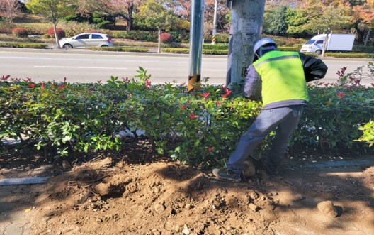 삼락동 415-20 작업 중2