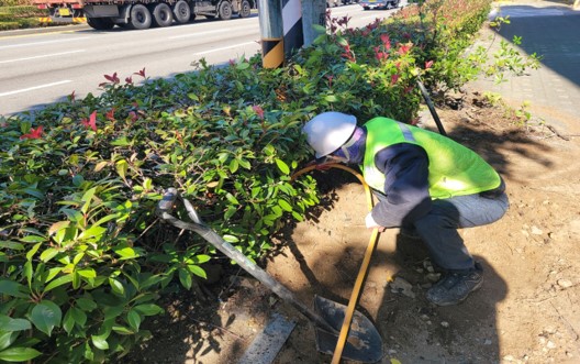 삼락동 415-20 작업 중4