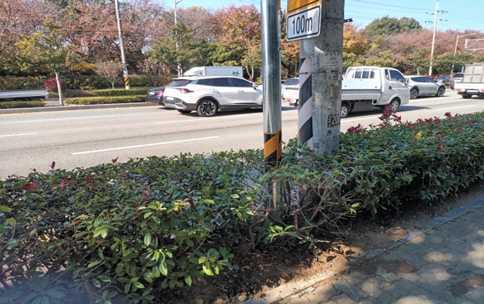 삼락동 415-20 작업 후1