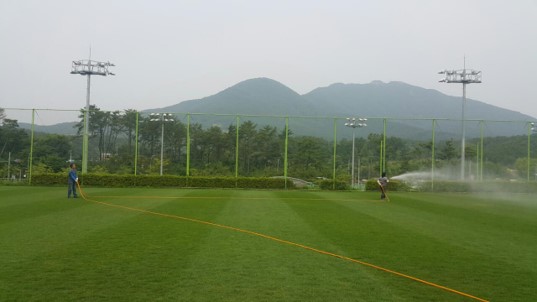 5. 액상 시비