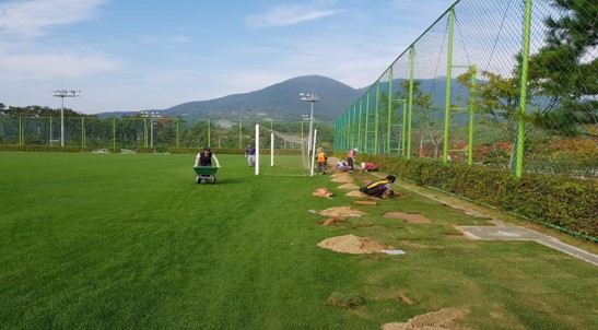 8. 잔디식재